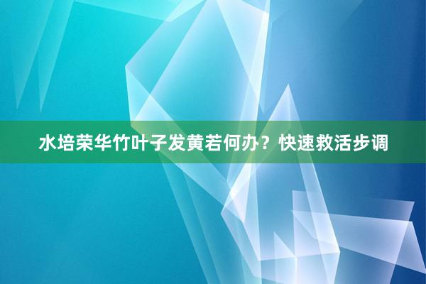 水培荣华竹叶子发黄若何办？快速救活步调