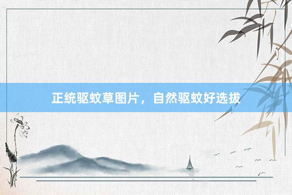 正统驱蚊草图片，自然驱蚊好选拔