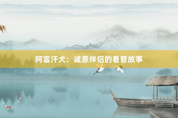 阿富汗犬：诚意伴侣的看管故事